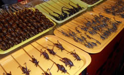 DongHuaMen Night Market Insects