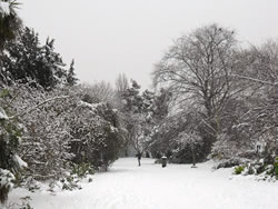 Snow in Victoria Park Finchley