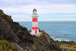 Exploring Wellington's wild coast - Cape Palliser Lighthouse