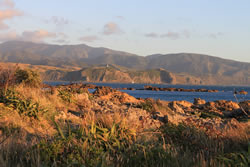 View of the mouth of Wellington Harbour from Moa Point