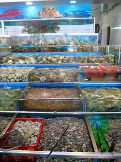Fresh seafood for sale at a restaurant in Sai Kung