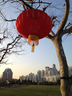 Chinese Lantern - Century Park Shanghai