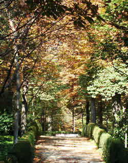 A walking path in Madrid's Parque del Retiro in the fall
