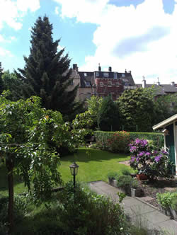 My garden view in Bochum