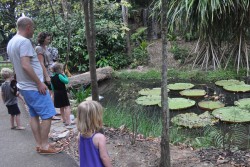 Jacob Ballas in Singapore Botanic Gardens with our Danish friends - we found turtles underneath the giant waterlillies