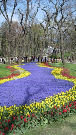 Emirgan Park during the Tulip festival