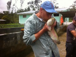 At the regional government trout farm where we have to give special care to the larger 'reproductors'.