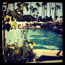 The pool at the Beverly Hills Hotel