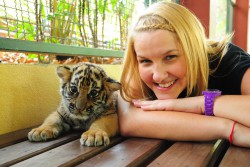 Playing with baby tigers in Chiang Mai, Thailand