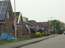 Dutch and Frisian flags are flying in honor of King's Day.