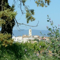 The little town where we live. Sant Cugat Sesgarrigues in spring.