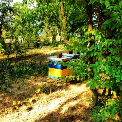 Bee Hives for great local produce