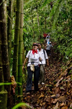 There is nothing like a hike in Dominica's rainforest.  I just love it! This photo was taken during Hike Fest,an annual event organized by the Dominica Hotel and Tourism Association.