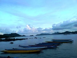 Dragon Boats in Sai Kung