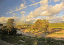 A view from the train between Málaga and Córdoba